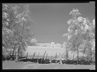 12. Winge - no-nb digifoto 20150205 00071 NB MIT FNR 15646.jpg