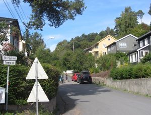 Ymers vei Oslo 2013.jpg